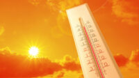 coup de chaud aubaine