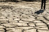 La sécheresse met l’agriculture en détresse