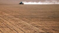 Aide socialiste agriculture ruinée