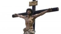 Léon vie vivre Christ