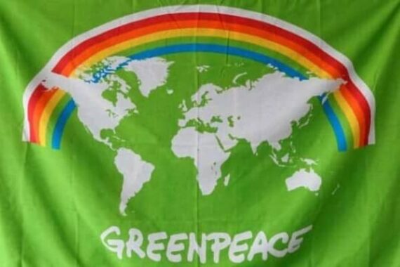 Verts France Greenpeace portefeuille