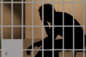 85 % des Français veulent la prison pour les délinquants sous OQTF : mauvaise solution