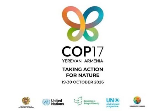 ONU COP 17 biodiversité