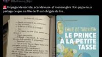 propagande politique classe 3e